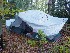 Paul, Ted and Tom's tent